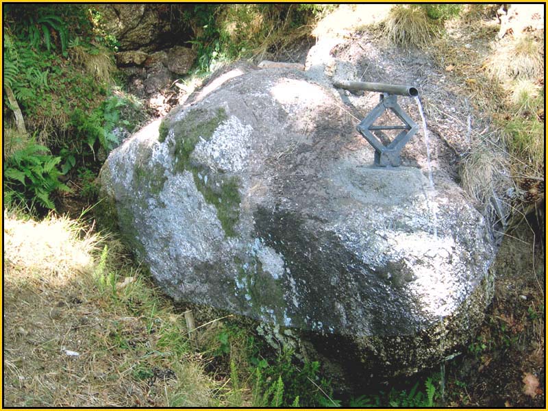 Mis Fuentes - FOTO 18