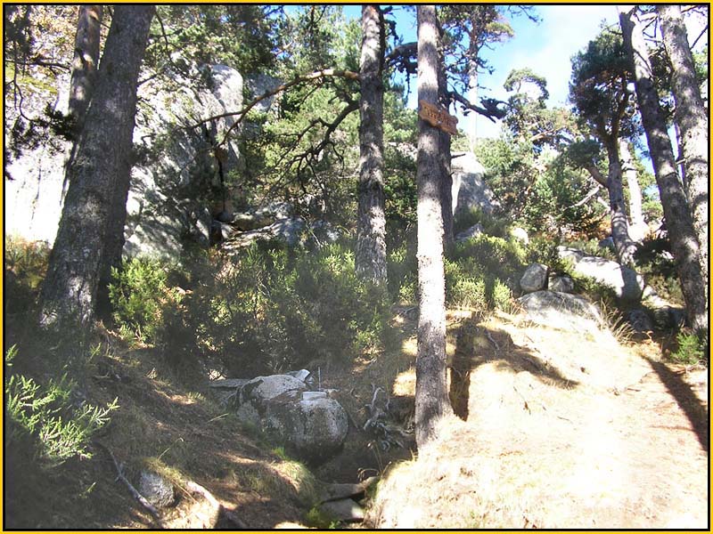 Mis Fuentes - FOTO 23