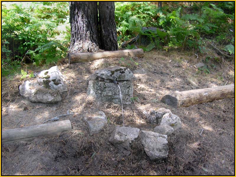 Mis Fuentes - FOTO 31