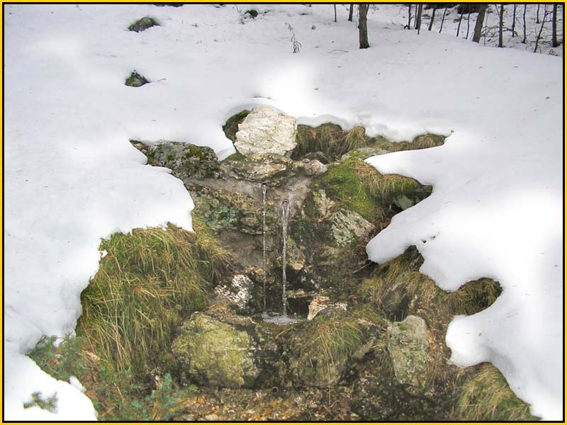 Mis Fuentes - FOTO 60