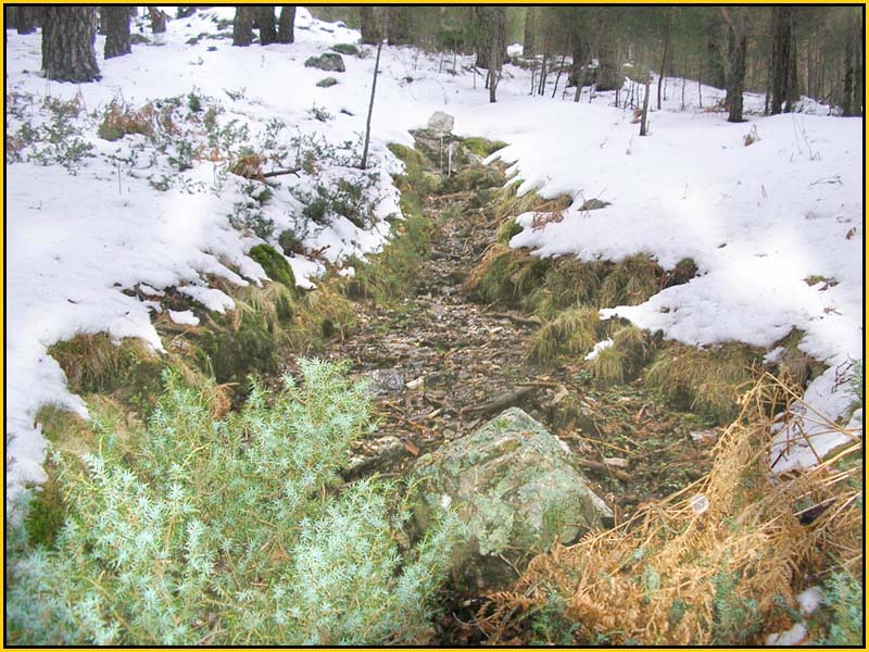 Mis Fuentes - FOTO 61