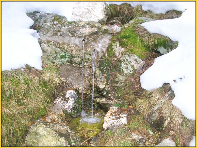 Mis Fuentes - FOTO 68