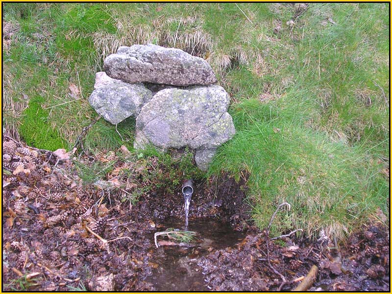 Mis Fuentes - FOTO 89