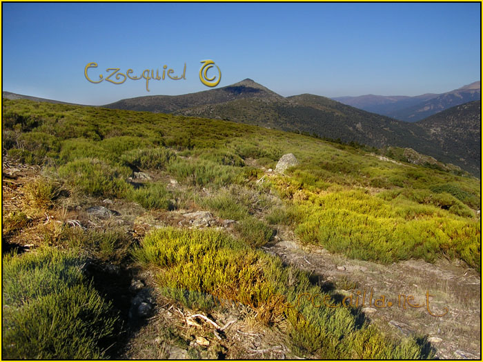 Cercedilla Postal Aguila 04