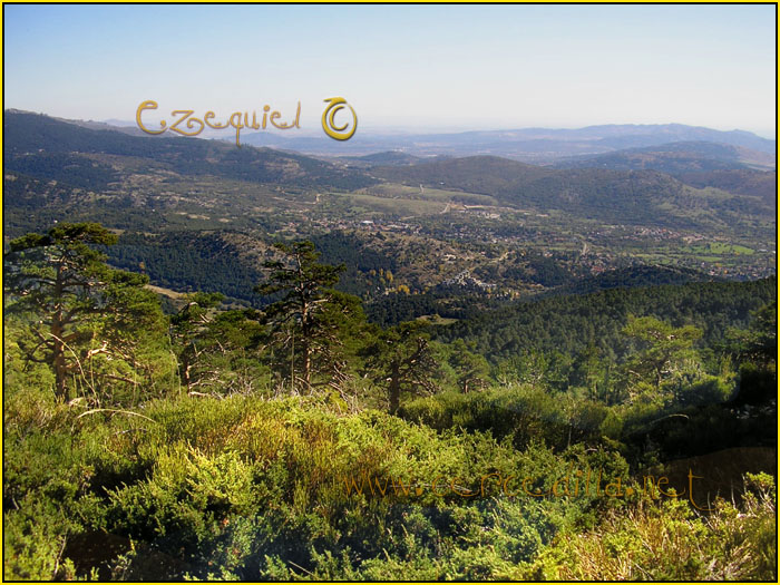 Cercedilla Postal Aguila 06