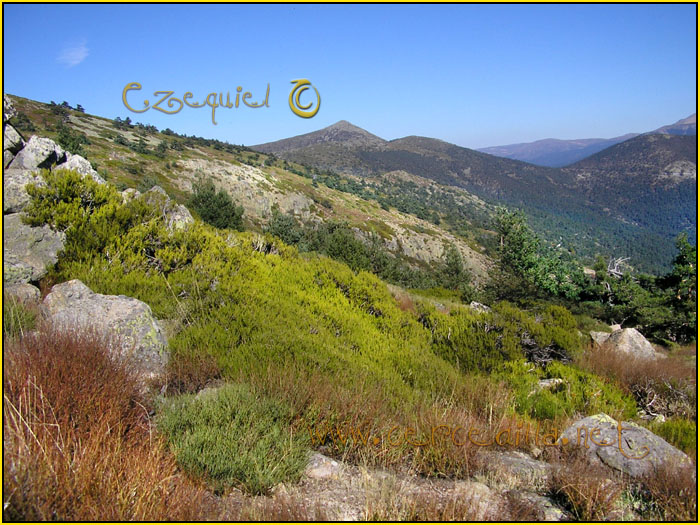 Cercedilla Postal Aguila 11