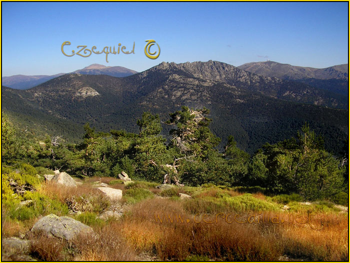 Cercedilla Postal Aguila 13