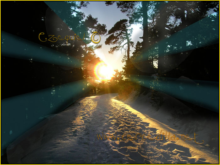 Tarjeta postal de Cercedilla Calle Alta 03