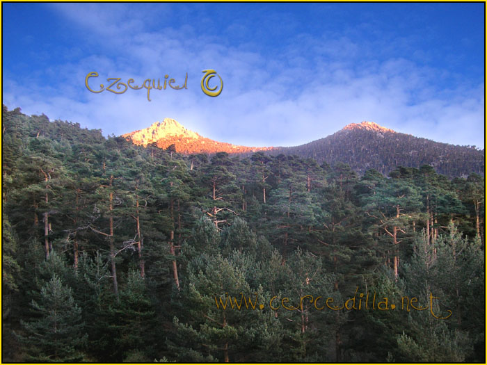 Tarjeta postal de Cercedilla Calle Alta 08