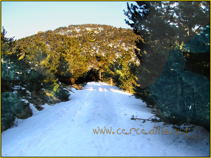 Tarjeta postal de Cercedilla Calle Alta 10