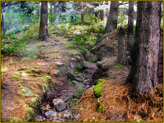 Tarjeta postal de Cercedilla camino del agua 04