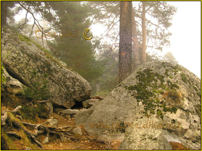 Tarjeta postal de Cercedilla camino Schmid 06