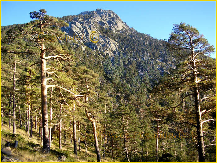 Tarjeta postal de Cercedilla camino Schmid 11