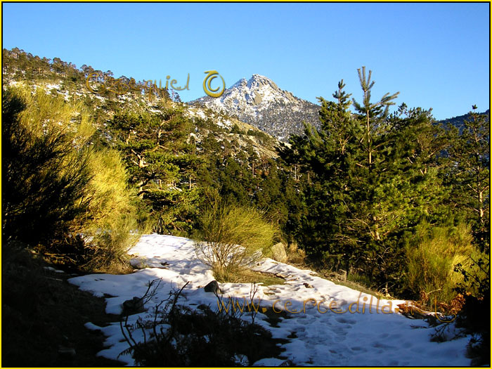 Tarjeta postal de Cercedilla  Camino Viejo de Segovia 06