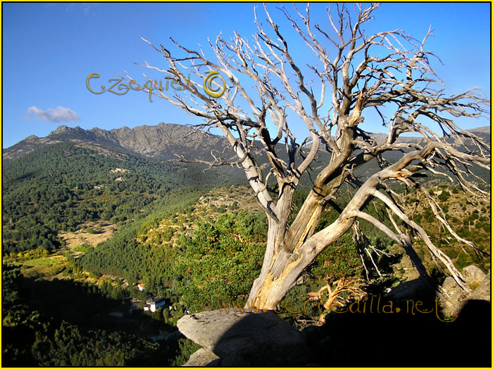 Tarjeta postal de Cercedilla del campamento 05