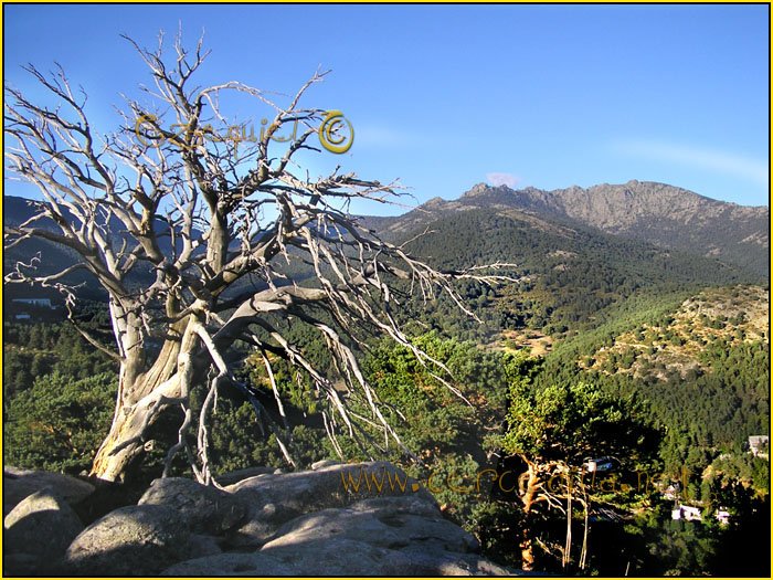 Tarjeta postal de Cercedilla del campamento 07