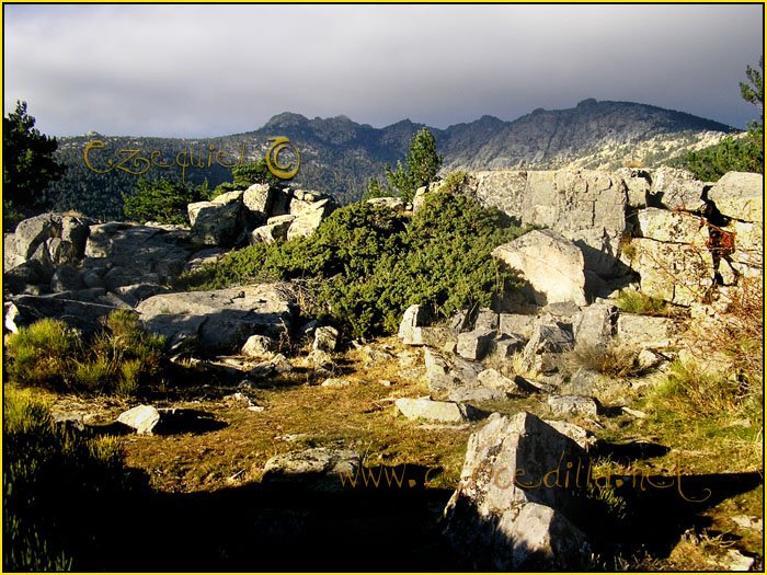 Tarjeta postal de Cercedilla Collado Albo 10