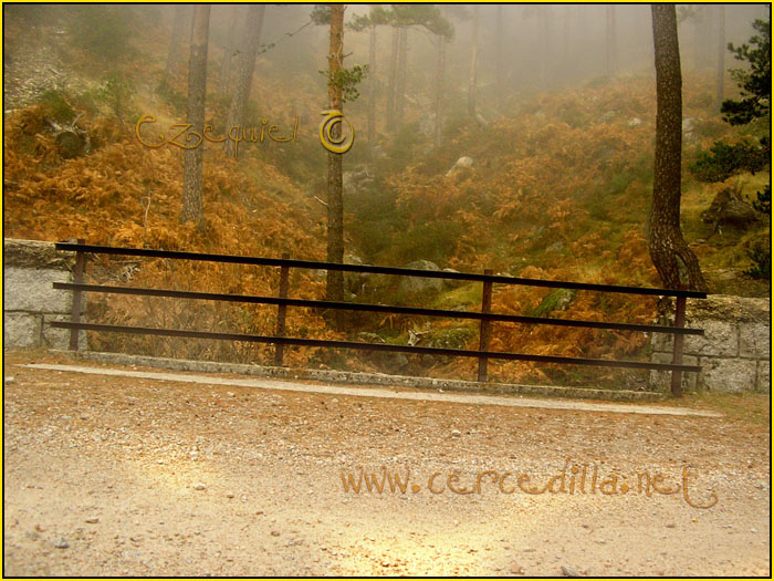 Tarjeta postal de Carcedilla GR 10 03