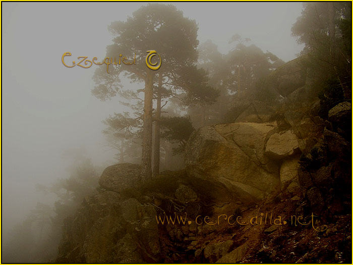 Tarjeta postal de Carcedilla GR 10 04