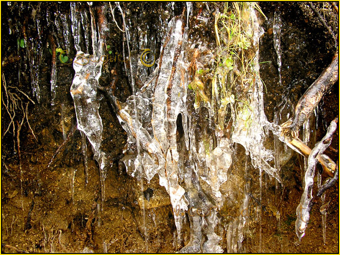 Tarjeta postal de Cercedilla el hielo 04