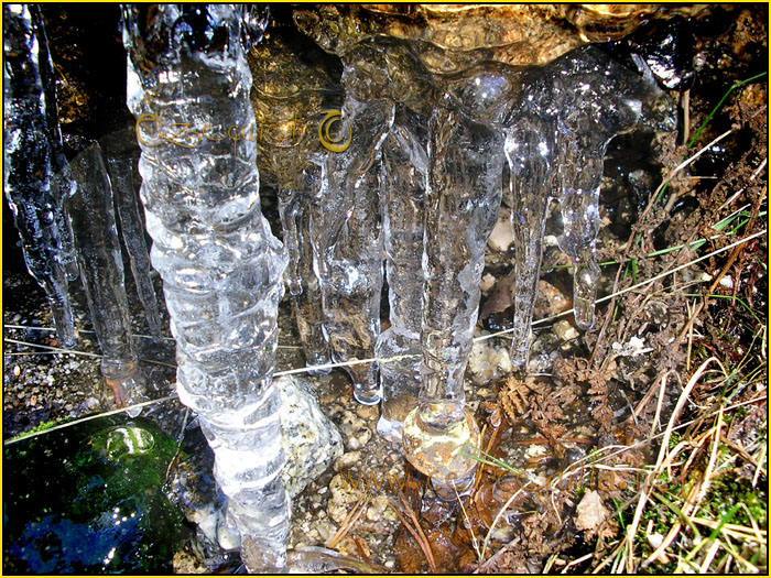Tarjeta postal de Cercedilla el hielo 06