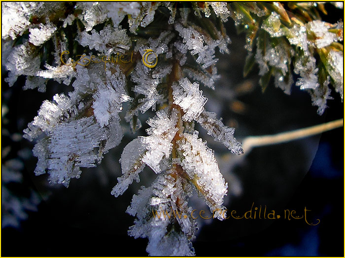 Tarjeta postal de Cercedilla el hielo 17
