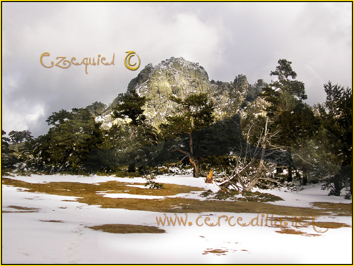 Tarjeta postal de Cercedilla Majalasna 14