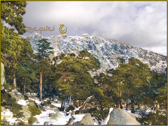 Tarjeta postal de Cercedilla Majalasna 15