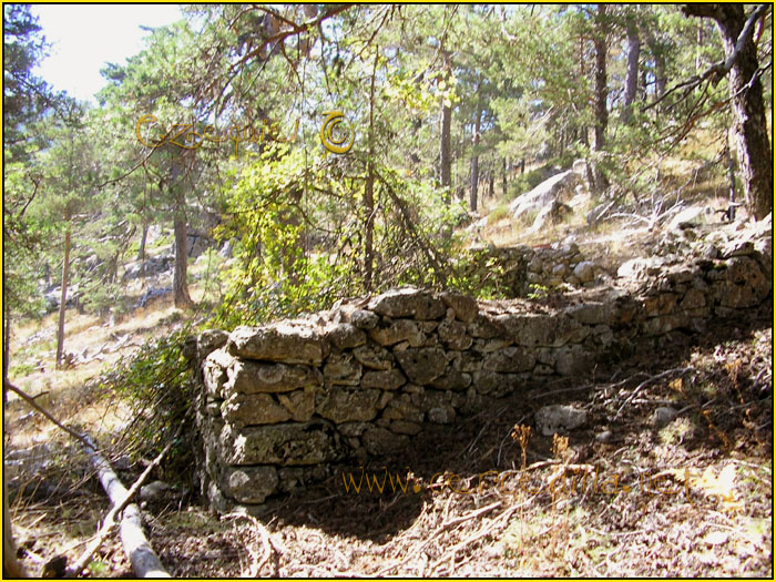 Tarjeta postal de Cercedilla los parapetos 02