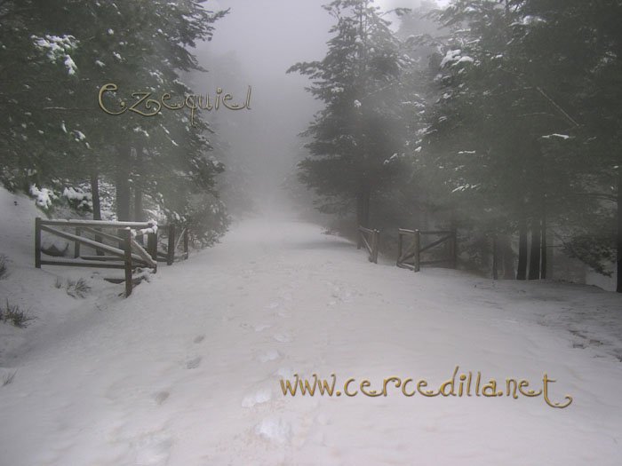 Tarjeta postal de Cercedilla  primeras nieves 05