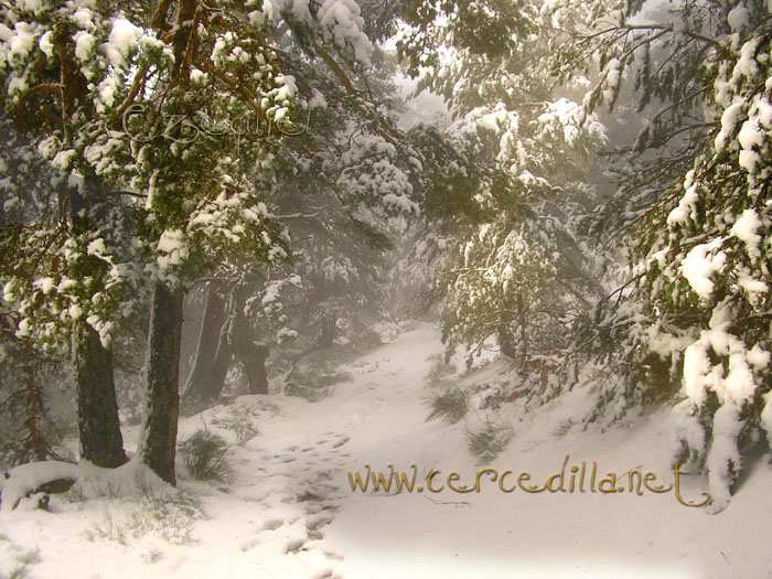 Tarjeta postal de Cercedilla  primeras nieves 07