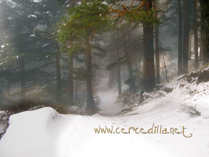 Tarjeta postal de Cercedilla  primeras nieves 10