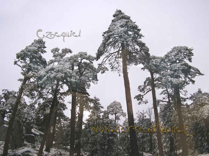Tarjeta postal de Cercedilla  primeras nieves 17