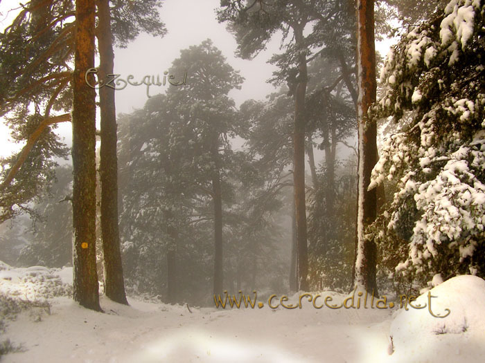 Tarjeta postal de Cercedilla  primeras nieves 21
