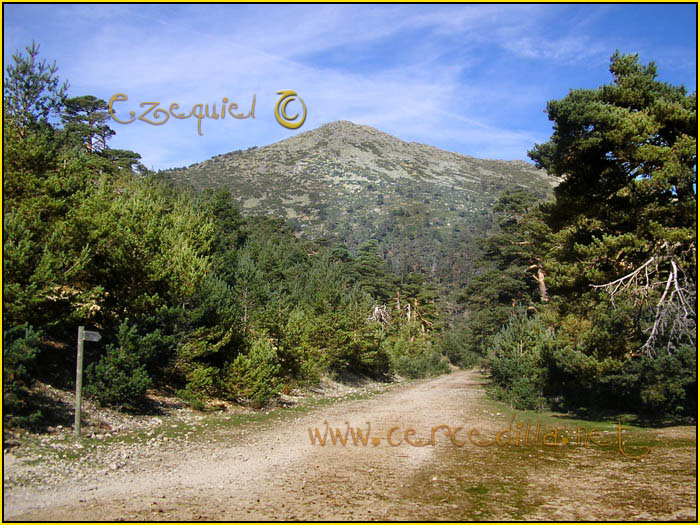 Tarjeta postal de Cercedilla Puerto de la Fuenfria 05