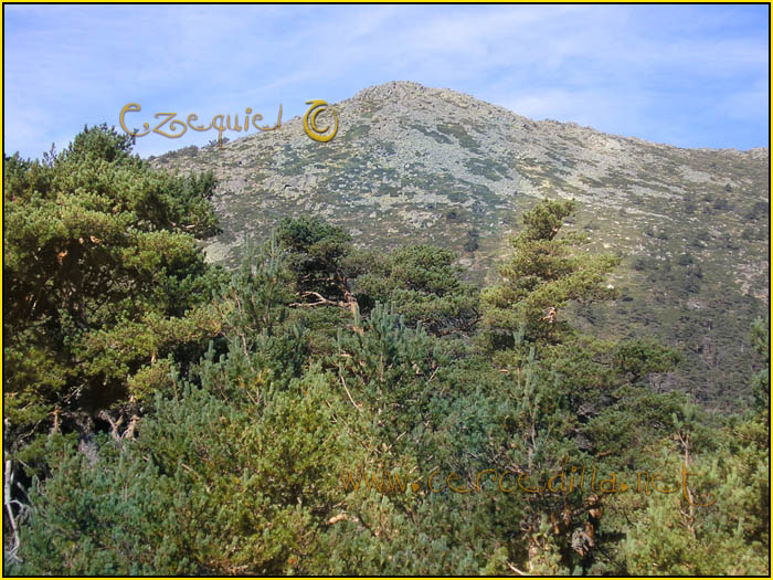 Tarjeta postal de Cercedilla Puerto de la Fuenfria 07