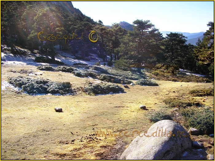 Tarjeta postal de Cercedilla Senda de los Alevines 07