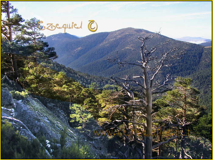 Tarjeta postal de Cercedilla Senda de los Alevines 10