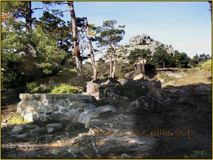 Tarjeta postal de Cercedilla Senda de los Alevines 16