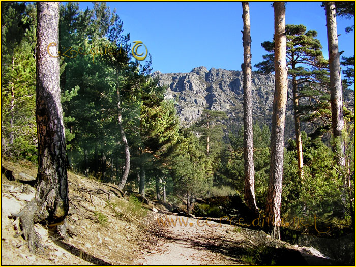 Tarjeta postal de Cercedilla Senda Herreros 02