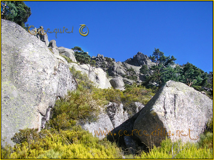 Tarjeta postal de Cercedilla Senda Herreros 03