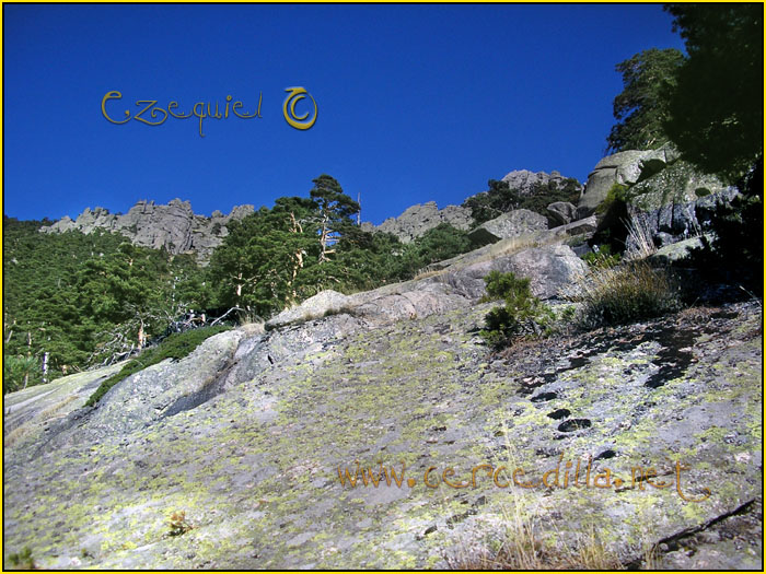 Tarjeta postal de Cercedilla Senda Herreros 05