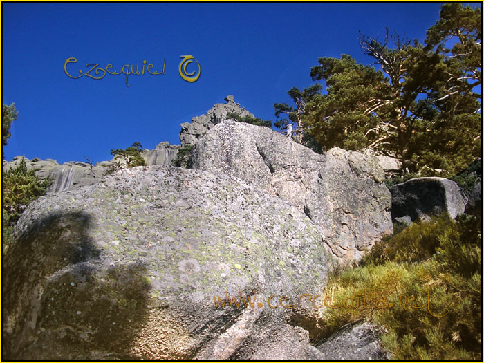 Tarjeta postal de Cercedilla Senda Herreros 07