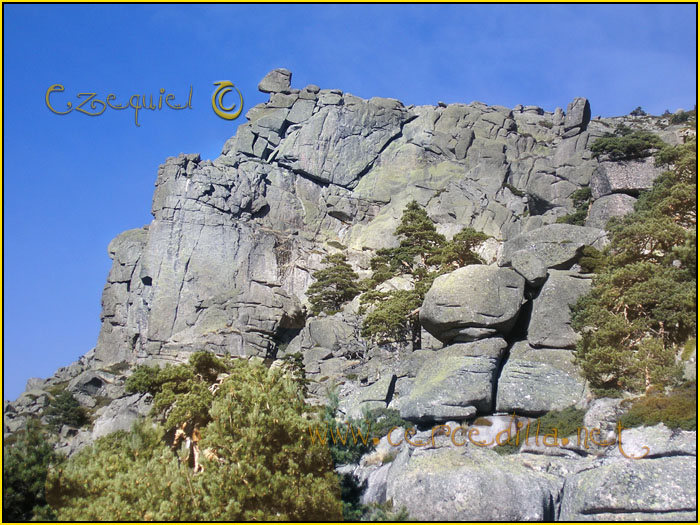 Tarjeta postal de Cercedilla Senda Herreros 15