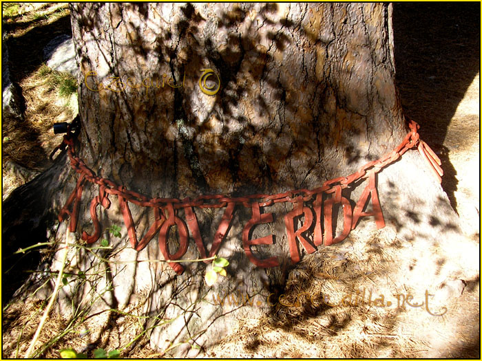 Tarjeta postal de Cercedilla la vaqueriza 06