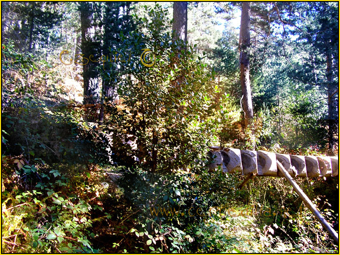 Tarjeta postal de Cercedilla la vaqueriza 08