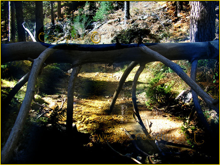 Tarjeta postal de Cercedilla la vaqueriza 09