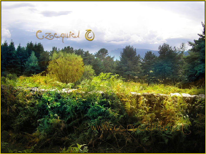 Tarjeta postal de Cercedilla vereda alta 02