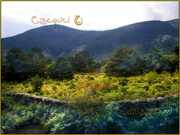 Tarjeta postal de Cercedilla vereda alta 03