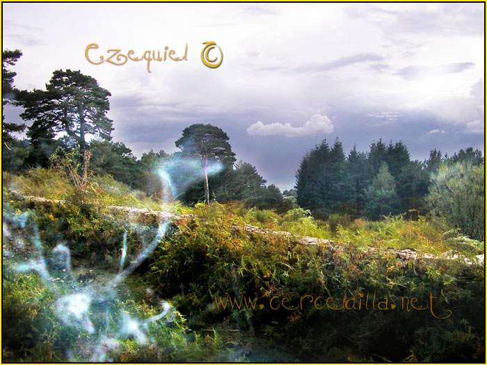 Tarjeta postal de Cercedilla vereda alta 04